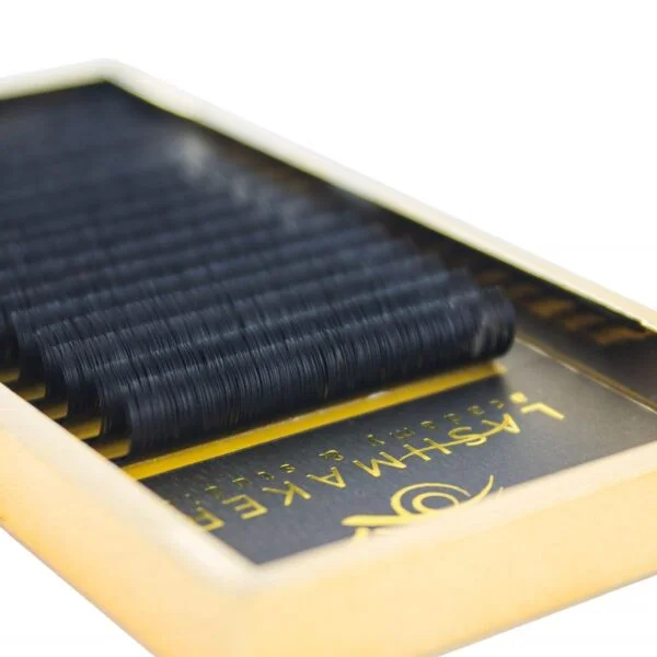 Regular Black Lashes
